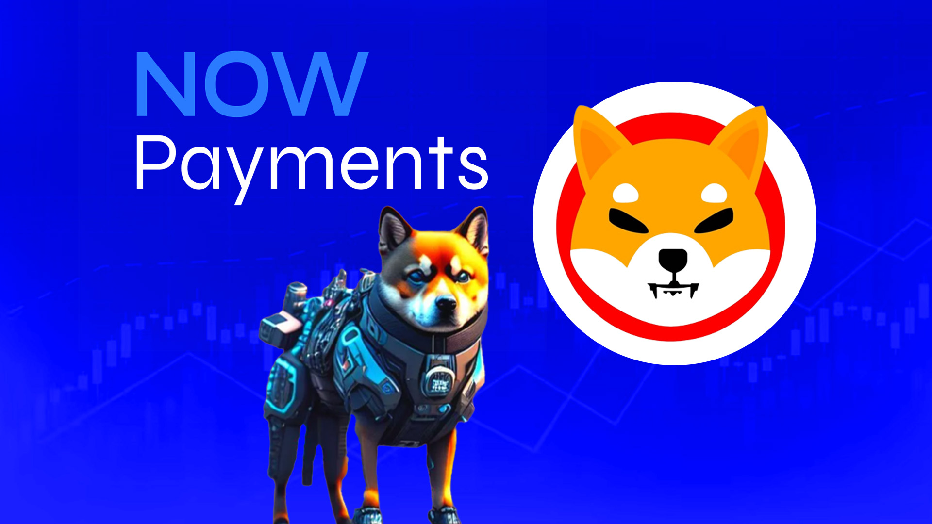 NOWpayments