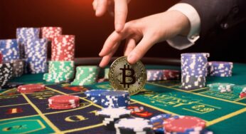 What Your Favorite Crypto Casino Games Reveal About Your Risk Style