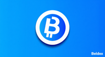 Beldex Coin Price | Live Beldex Value, Chart & Market Cap