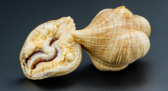 How Much Is a Labubu? Labubu Price Guide and Buying Tips