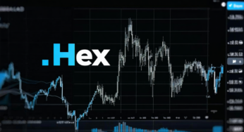 Hex Share Price: Live Updates, Chart & Analysis