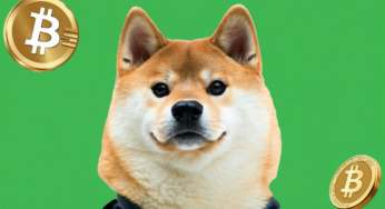 Dogecoin Price INR: Live DOGE to Indian Rupee Value & Chart